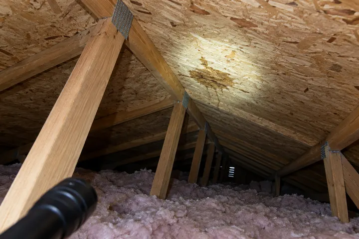 Inside a residential attic with wood trusses, insulation and a flashlight beam showing a small water stain on the roof deck